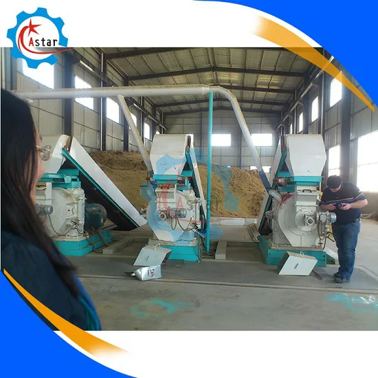 Durable Use Horizontal Type Ring Die Wood Pelletizer Making Machinery