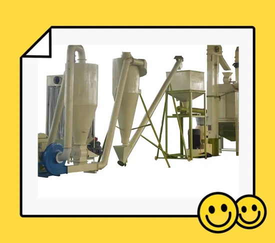 Low Cost 10 Tph Biomass Pellet Production Line for Sale