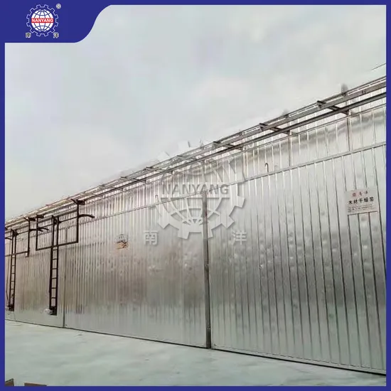Nanyang Myhg-200 High Temperature Heating Forced Air Circulation Drying Oven China Factory 15 Kw Power Customized Wood Drying Kiln with Nanyang Control System