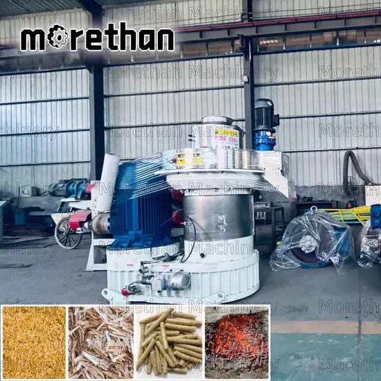 New Design Auto 200-5000kg/H 380V Ring Die Biomass Pellet Machine Briquette Machine Granulator Pelletizer Pellet Press Wood Pellet Machine Line