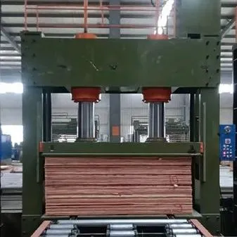 Heavy Duty Advanced Press Machinery with High Efficiency