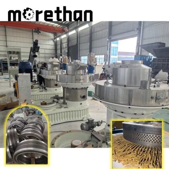 Ring Die Pellet Making Machine for Alfalfa Crops Straw Bagasse Pellet Press Wood Pellet Machine Pelletizer