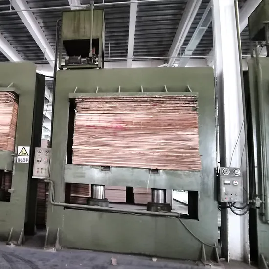 Wood Pressing Machine Hydraulic Plywood Door Furniture Cold Press Machine with CE