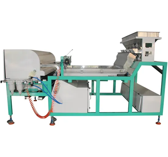 Belt Type Garlic Clove Color Sorter Machine Conveyor Garlic Processing Machine