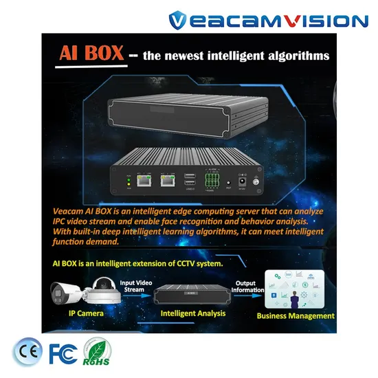 Fall Detection Server Analysis Ai Computing Capabilitiesindoor Outdoor CCTV