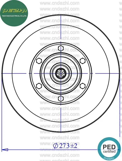 PED-Ce Marked Pressure Vessel for Fire Fighting System