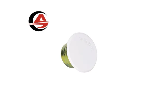 Innovative Concealed Fire Sprinkler System for Enhanced Safety