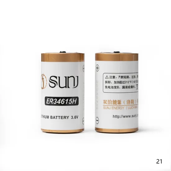 3.6V 19000mAh High Capacity Primary Lithium Battery Er34615h for Electric Meters