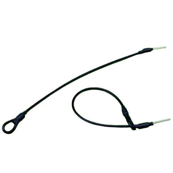 Hot Selling EAS Lanyard Anti-Theft Security Hard Tag Accessories