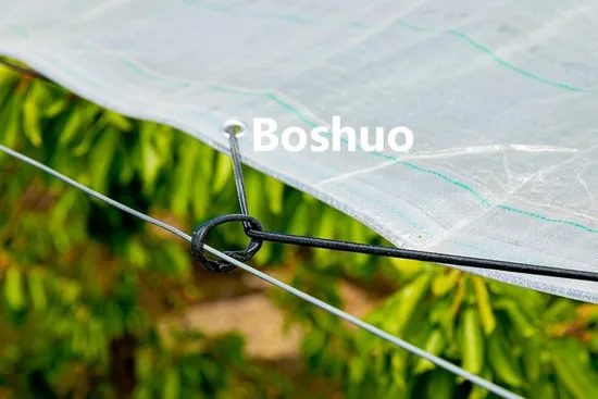 150 145 GSM PE Woven Tarpaulin Film 3 Layer Transparent Clear White Waterproof Anti Rain Cover for Orchard Fruit Cherry Blueberry Grape Plum Tree China Supplier