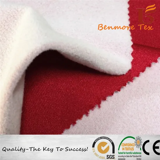 Two-Tone Nylon/ Polyester Super Poly for Yacht Cover and Car Cover