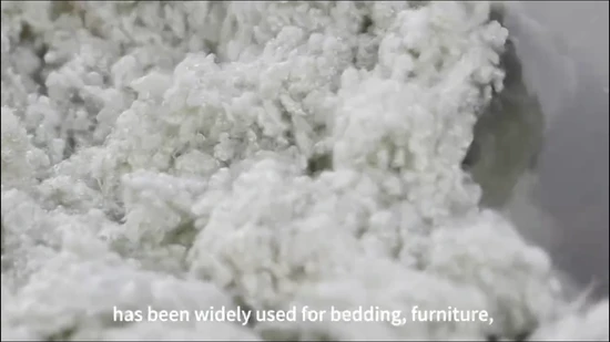 PSF Jacket Filling 15 Denier Hollow Conjugated Polyester Staple Fiber Polyester Raw Fibers