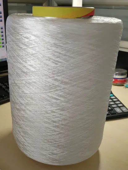 Twisted Nylon 6 High Tenacity Yarn 250d-2520d for Belt and Technical Fabric