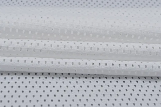 Lightweight and Breathable Fabric 100% Polyester Mesh Fabric for Garments Lining