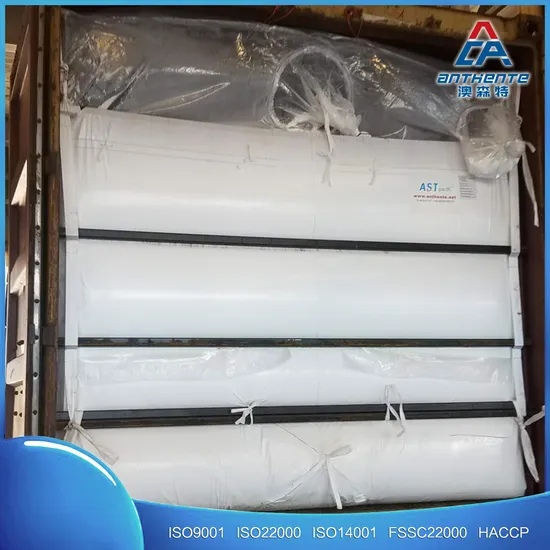 20/40FT Container PP/PE Sea Bulk Container Liner Loading Sugar Rice Grain Powder