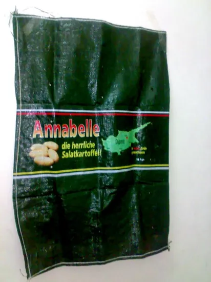 Potato Bag /PP Woven Bag/Mylar Bag
