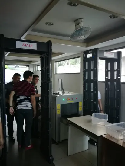 Viking Detection Fold Portable Door Frame Walkthrough Metal Detectors