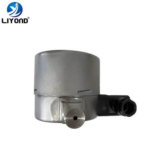 Liyond Customized Diameter 101mm Sf6 Density Monitor Meter Relay with Two Contact Points