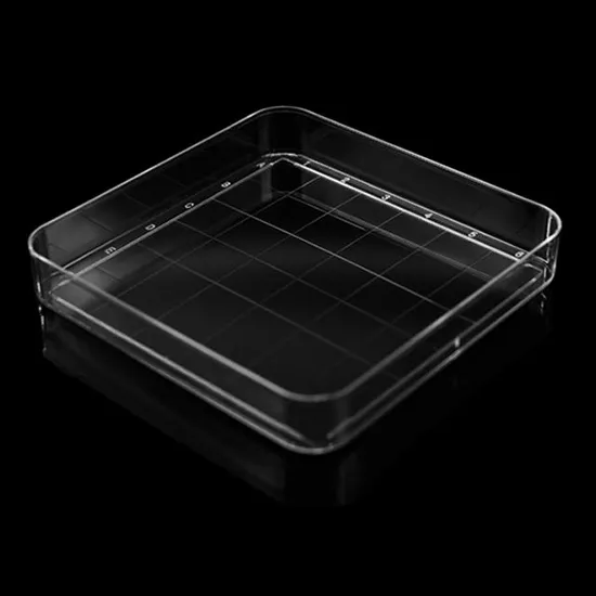 Free Samples Clear High Transparent Petri Dish for Lab Use Cost-Effective Sterile