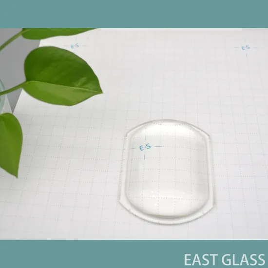 China Factory Direct Supplier OEM Optical Lens-10