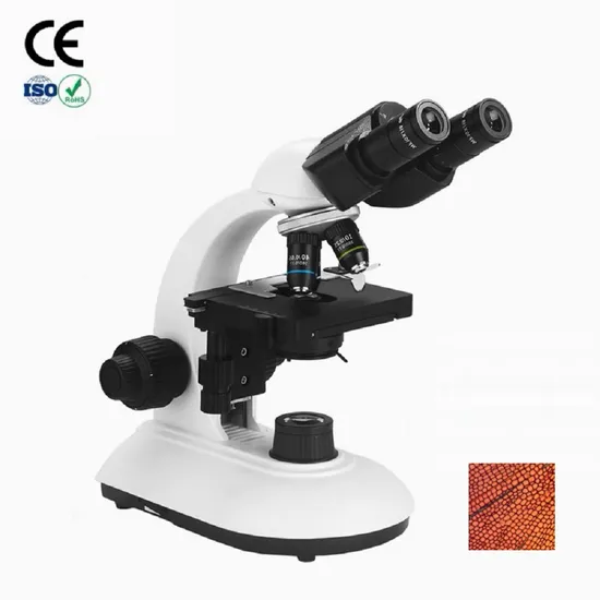 Manufacturers High Precision 40-2000X Laboratory Microscopio Optical Microscope