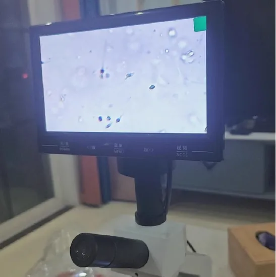High Quality Digital Biological China Supplier Microscope with Camera