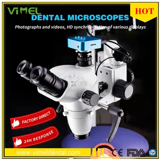 Dental Lab Surgical Microscope with Camera HD Synchronization of Various Display