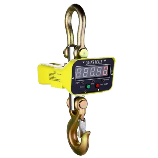 Portable Digital Hanging Crane Scale Alloy Shell Scale Ocs D2