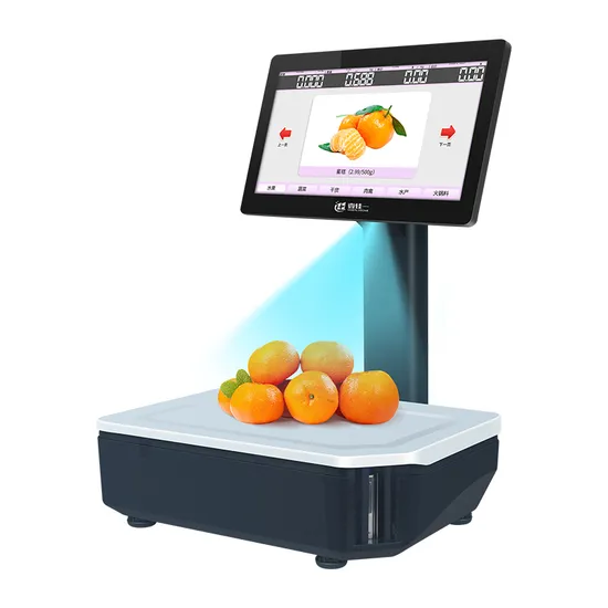 Store Retail All in One Barcode Label Printing POS AI Scale with Printer