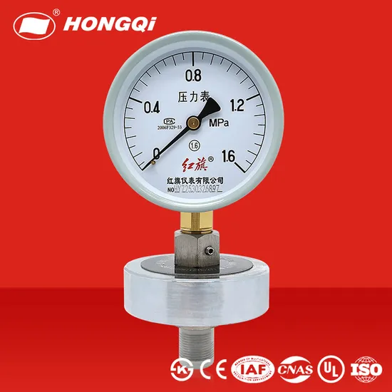 Hongqi Threaded Diaphragm-Seal Pressure Gauge with 100mm Diameter