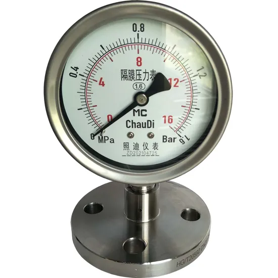 Factory Price 0-100MPa Stainless Steel Diaphragm Bourdon Tube Pressure Gauge for Hot-Water