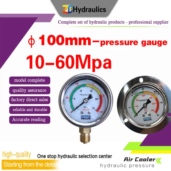 Stainless Steel Pressure Gauge Precision Yn/Zt100/60 Seismic Oil Pressure, Water Pressure, Air Pressure 10MPa Seismic Pressure Gauge Oil Pressure Gauge Seismic