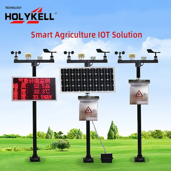 Holykell Agricultural Weather Station with Rain Gauges and Wind Speed Direction Sensor