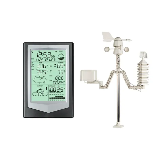 Professional Weather Station Manufacturers Forecast Weather Station with Rain Gauge