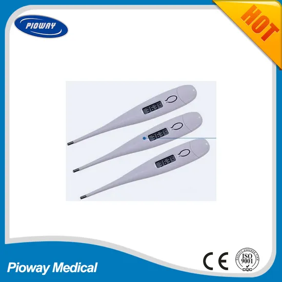 Electronic Thermometer Hospital Digital Thermometer (TH2131)