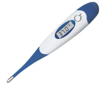 Waterproof Digital Thermometer