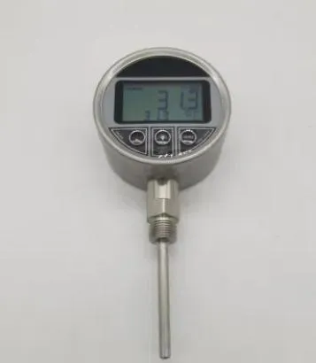 China Made LCD Digital Display Plastic Stainless Steel Hydraulic Gauge Temperature Test Meter 9V for Gas Water Oil