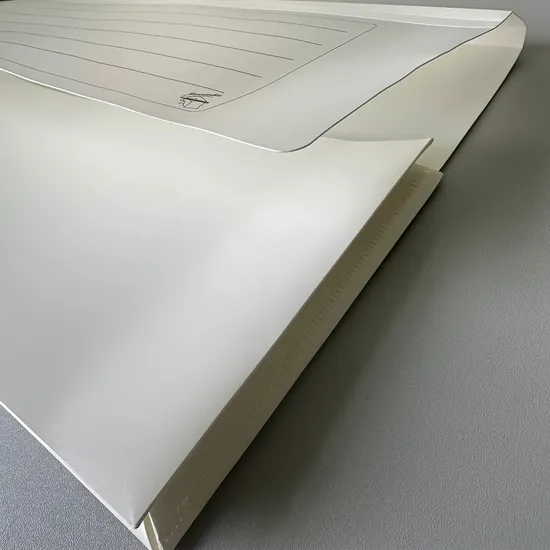 Thickened Wear-Resistant Waterproof Large Capacity File Folders Without Buckle Outdoor & Travel Use 5 Pack