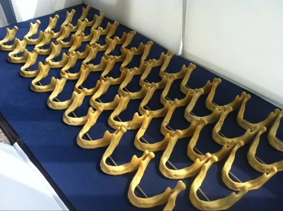 Dental Implant Manufacturers Supply Dental Drill Model