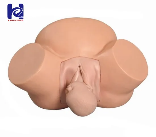 Ky-FL Advanced Gynecological Examination Training Simulator Simulateur De Formation Avancé D′examen Gyné Cologique