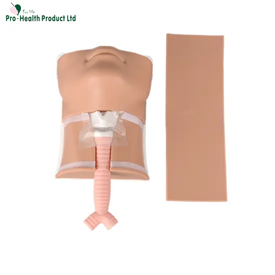 Three Skin-color Cricothyrotomy Training Simulator Model, Tracheostomy Simulator Model