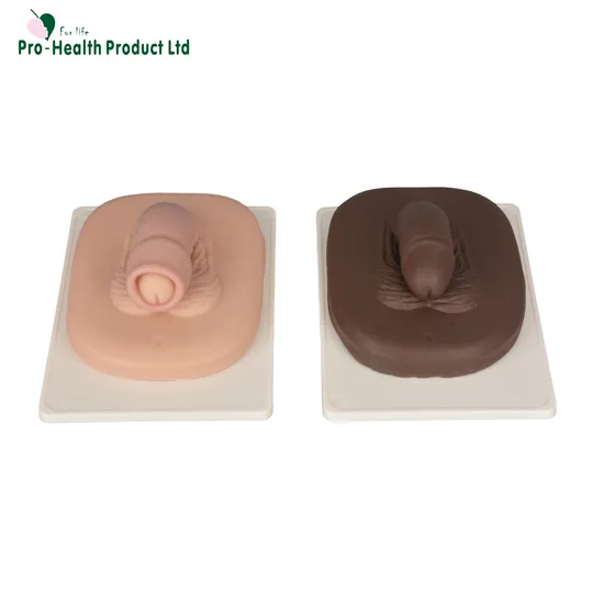 Adult Male Circumcision Trainer (3 Skin Tones)