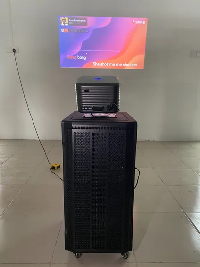 CE RoHS Professional Portable Rechargeable Speaker with 1080P Full HD Video Projector