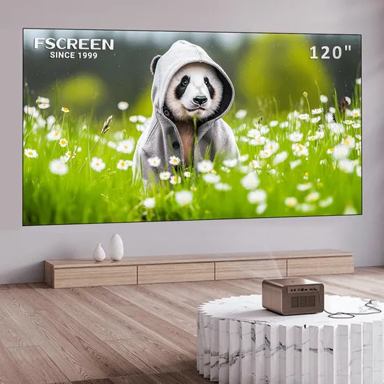 Fscreen Iris Series Long Throw Fresnel Alr Fixed Frame Projection Screen-120 Inch Video Mini Projector Projection Screen China Suppliers