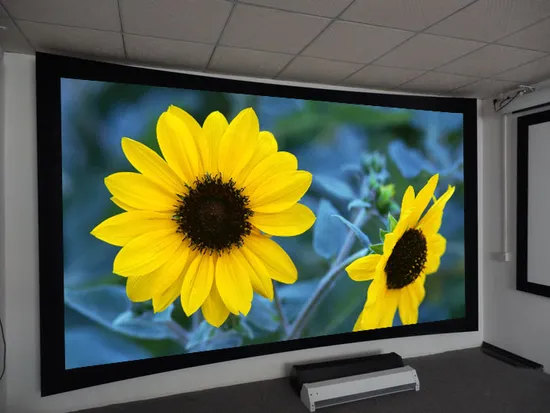 16: 9 200" Home Cinema Large Projection Screen Matte White