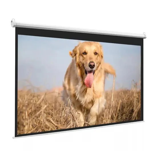 96"X96" Cheap Motorized Projector Screen for Education Business Projection