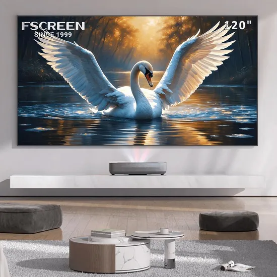 Fscreen Outdoor Oxford Clothes Movie Inflatable Projector Screen Motorized Portable