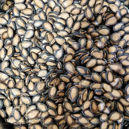 Best Quality Watermelon Seeds Kernels Competitive Price From China Large Quantity Can Supply