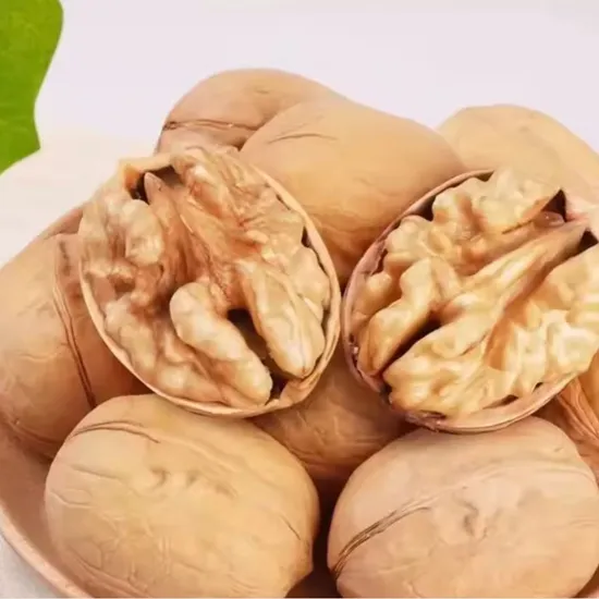 Walnut Kernels Organic Raw Light Halves Without Shells at Low Wholesale Price