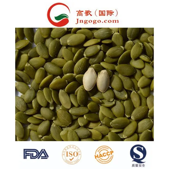 Exporting Top Quality Pumpkin Seeds Kernels